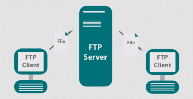 Exploring the World of FTP Servers